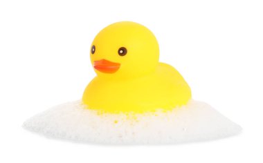 Beyaz bir ördek ve köpük.