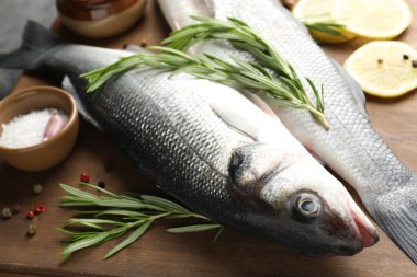 Baharatlı taze çiğ deniz kabuğu, yakın plan. Balık ve deniz ürünleri lezzetleri