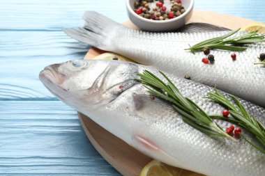 Mavi ahşap masada baharatlı taze çiğ deniz kabuğu, yakın plan. Balık ve deniz ürünleri lezzetleri