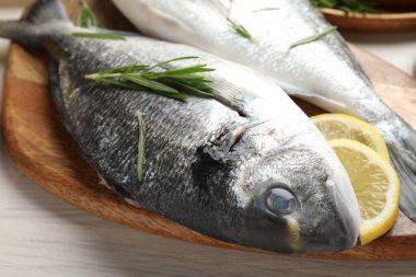 Taze çiğ dorado balığı, limon dilimleri, biberiye ve baharatlar beyaz ahşap masada, yakın plan. Organik deniz ürünleri