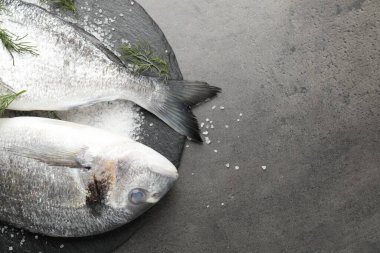 Organik deniz ürünleri. Taze çiğ dorado balığı, gri masada tuz ve dereotu, düz. Metin için boşluk