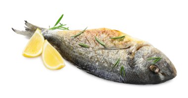 Beyaza izole edilmiş baharatlı Dorado balığı. Ev yapımı deniz ürünleri yemeği.