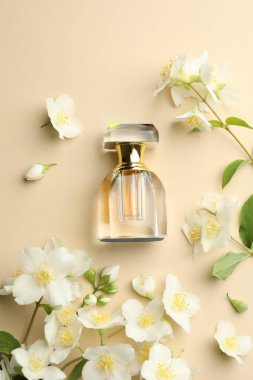 Bir şişe parfüm ve güzel yasemin çiçekleri bej arka planda, düz yerde