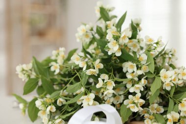 Güzel yasemin çiçekleri ve yeşil yapraklı dallar kapalı alanda, yakın plan.