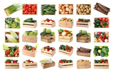 Beyaz arka planda tahta sandıklarda farklı taze sebzeler, kolaj.