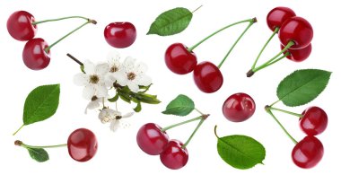 Beyaz arka planda olgun kırmızı kirazlar, çiçekler ve yeşil yapraklar, kolaj