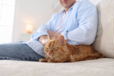 Evdeki kanepede sevimli kızıl kedili adam, yakın plan.