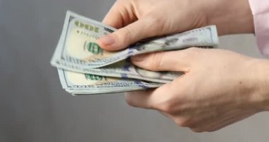 Açık gri arka planda dolar banknotları sayan kadın, yakın plan