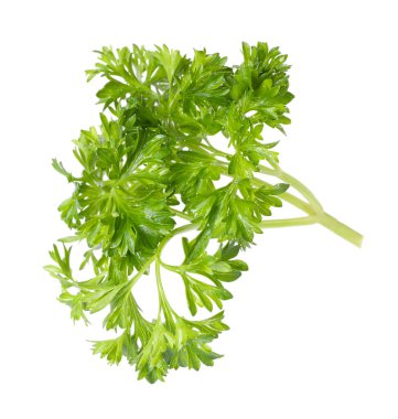 Beyaz maydanozlu taze maydanoz.