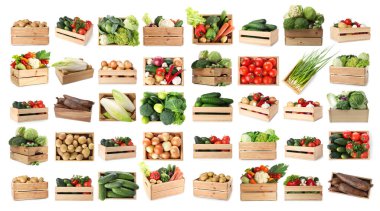 Beyaz arka planda tahta sandıklarda farklı taze sebzeler, kolaj.