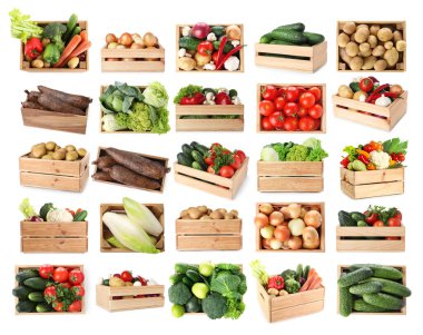 Beyaz arka planda tahta sandıklarda farklı taze sebzeler, kolaj.