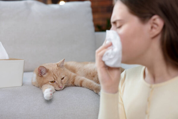 Женщина, страдающая аллергией с кошкой дома, избирательный фокус