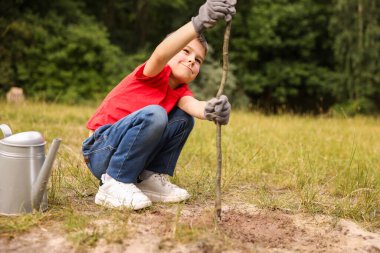 Küçük çocuk dışarıda toprağa ağaç dikiyor.