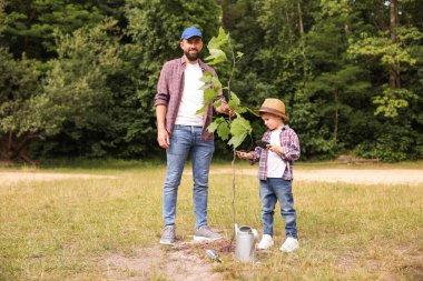 Baba ve oğlu dışarıda toprağa ağaç dikiyorlar.