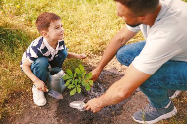 Baba ve oğlu dışarıda toprağa ağaç dikiyorlar, yakın plan.