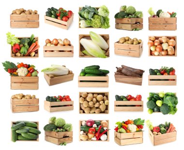 Beyaz arka planda tahta sandıklarda farklı taze sebzeler, kolaj.