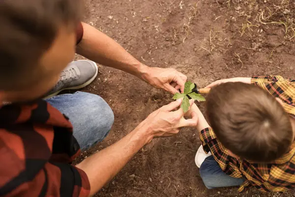 Baba ve oğlu dışarıdaki toprağa ağaç dikiyorlar.