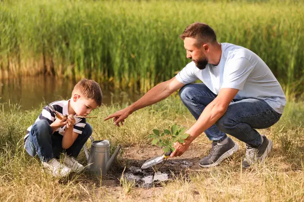 Baba ve oğlu dışarıda toprağa ağaç dikiyorlar.