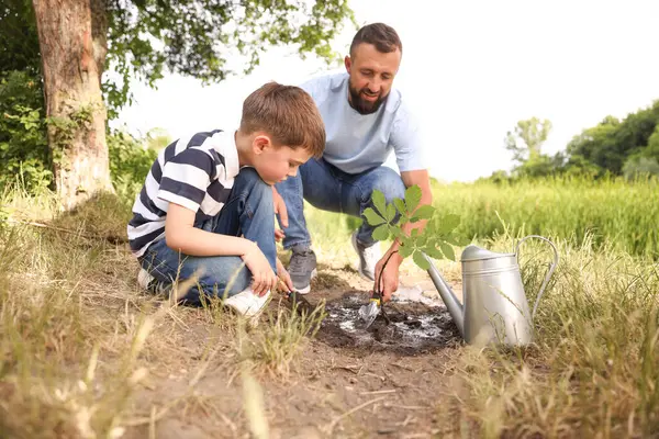 Baba ve oğlu dışarıda toprağa ağaç dikiyorlar.
