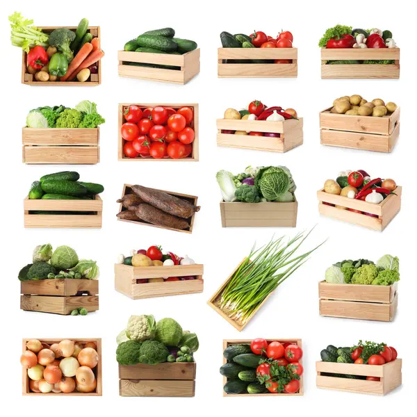 Beyaz arka planda tahta sandıklarda farklı taze sebzeler, kolaj.