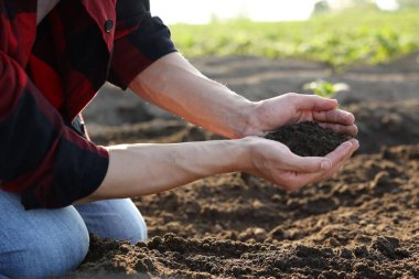 Tarlada toprak yığını tutan adam, yakın plan.