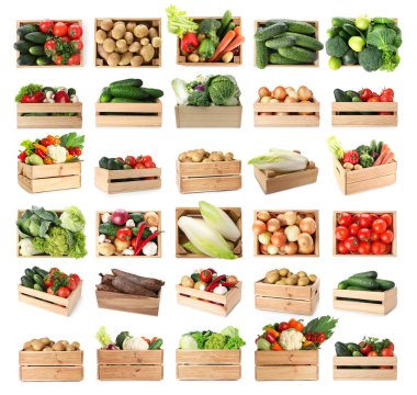 Beyaz arka planda tahta sandıklarda farklı taze sebzeler, kolaj.