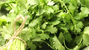 Kasede bir demet aromatik kişniş, yakın plan.