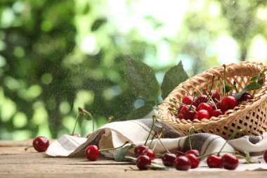 Tahta masadaki taze kirazların üzerine su serpmek bulanık yeşil arka plan, yakın plan. Metin için boşluk