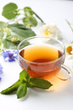 Cam fincanda aromatik bitki çayı, farklı çiçekler ve beyaz arka planda nane şekeri, yakın plan.