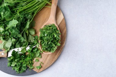 Taze yeşil kişniş ve bıçak ışık masasında, üst tarafta. Metin için boşluk