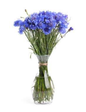 Beyaz vazodaki güzel mavi çiçek.