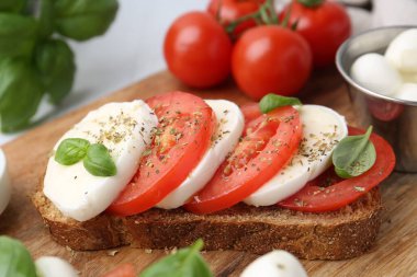 Mozarella peynirli, domatesli, fesleğenli ve baharatlı lezzetli sandviç.