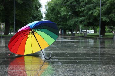 Islak asfalt üzerinde renkli şemsiye, metin için boşluk