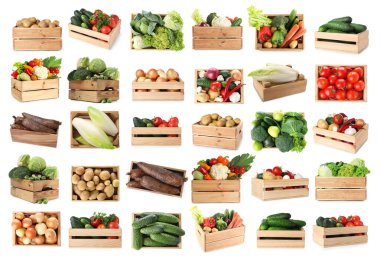 Beyaz arka planda tahta sandıklarda farklı taze sebzeler, kolaj.