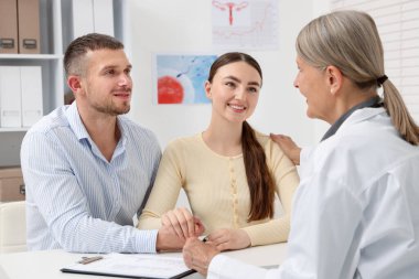 Tüp bebek (tüp bebek). Çift, üreme kliniğinde doktorla görüşüyor.