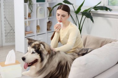 Evde köpeğine alerjisi olan bir kadın.