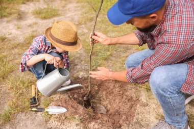 Baba ve oğlu dışarıda toprağa ağaç dikiyorlar.