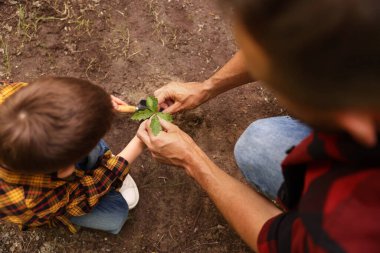 Baba ve oğlu dışarıdaki toprağa ağaç dikiyorlar.
