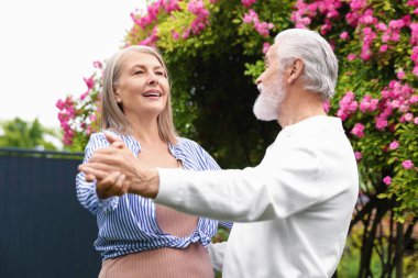 Güzel yaşlı çift, açık havada pembe güllerin arasında dans ediyor.