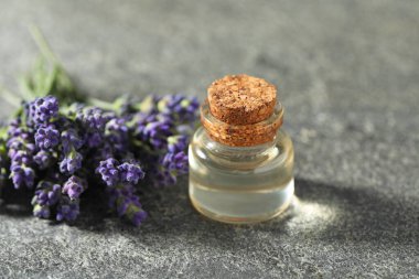 Bir şişe lavanta yağı ve çiçekler gri masada, yakın plan.
