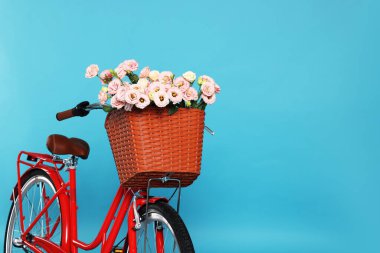 Açık mavi arka planda bir sepet güzel çiçekli bisiklet. Metin için boşluk