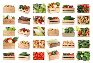 Beyaz arka planda tahta sandıklarda farklı taze sebzeler, kolaj.