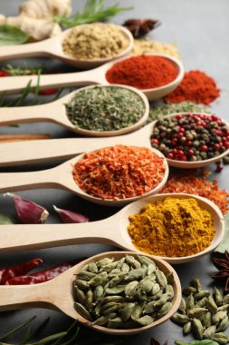 Gri masadaki kaşıklardaki farklı baharatlar, yakın plan.