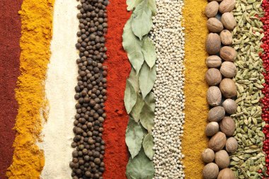 Arka plan olarak birçok farklı baharat, üst görünüm