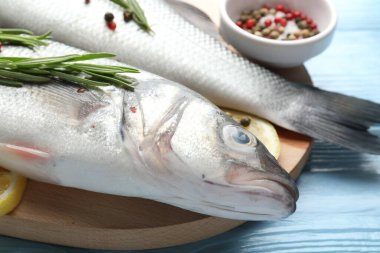 Mavi ahşap masada baharatlı taze çiğ deniz kabuğu, yakın plan. Balık ve deniz ürünleri lezzetleri
