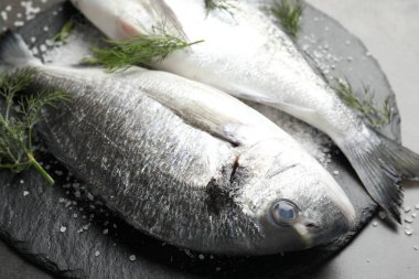 Organik deniz ürünleri. Taze çiğ dorado balığı, gri masada tuz ve dereotu, yakın plan.