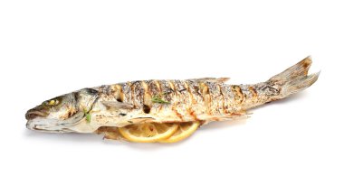 Beyaza izole edilmiş baharatlı kızarmış deniz kabuğu balığı. Ev yapımı deniz ürünleri yemeği.