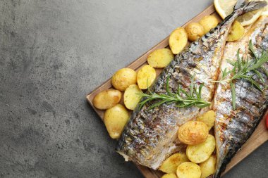 Ev yapımı deniz ürünleri yemeği. Gri masadaki baharatlı ve sebzeli kızarmış uskumrular. Metin için boşluk