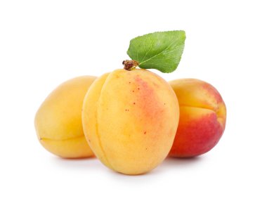 Taze taze kayısılar ve beyaz yapraklı yeşil yapraklar.