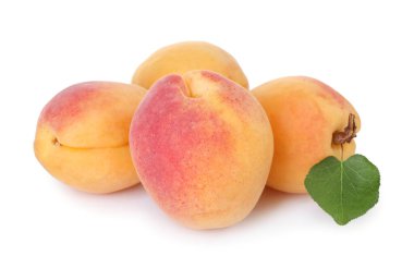 Taze taze kayısılar ve beyaz yapraklı yeşil yapraklar.